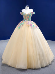 Champagne Ball Gown Tulle Colorful Appliques Prom Dress