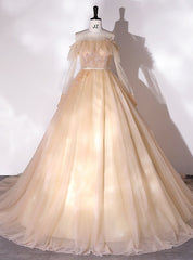 Champagne Tulle Long Sleeve Beading Quinceanera Dress