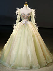 Green Tulle Long Sleeve Appliques Feather Quinceanera Dress