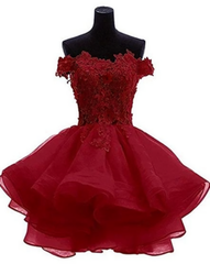 Formal Attire, Cute Organza Short with Lace Applique Party Dresses